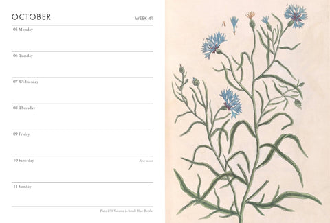 Weekly planner with floral design on a beige background