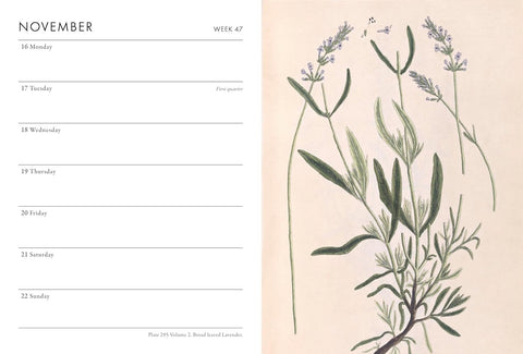 Calendar page with botanical illustration on a beige background