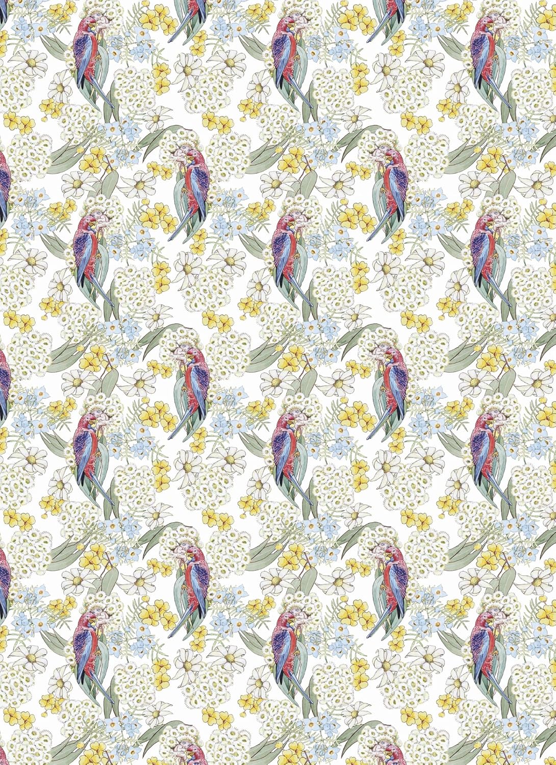 Pattern of parrots and flowers on a white background