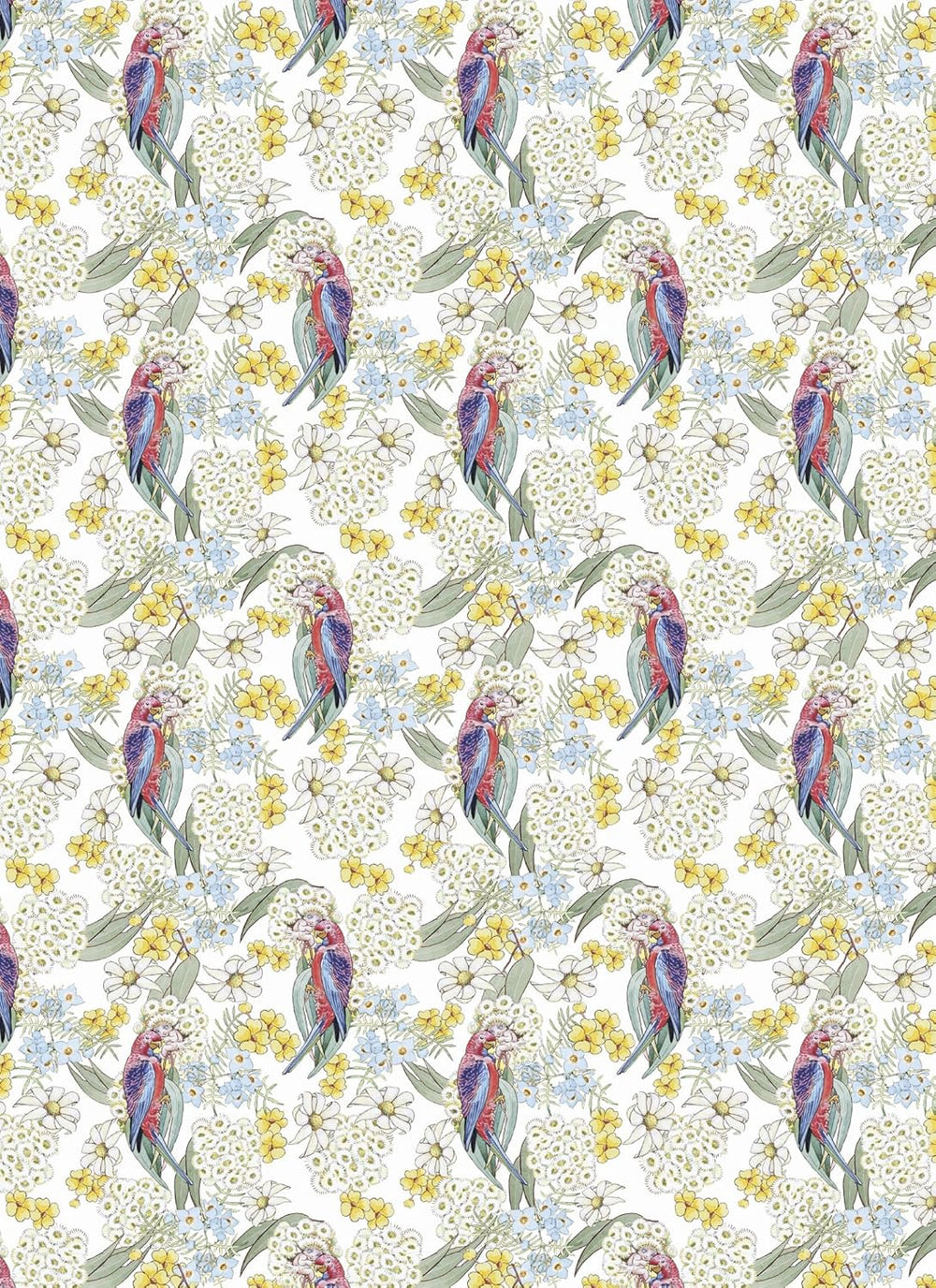 Pattern of parrots and flowers on a white background