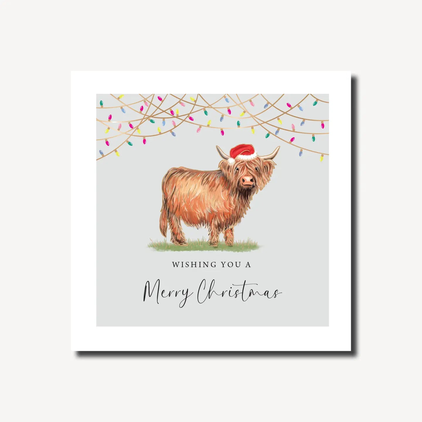 A square Christmas card called Highland Cow