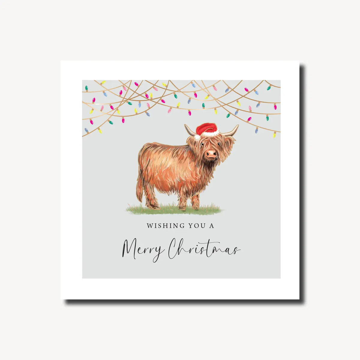 A square Christmas card called Highland Cow