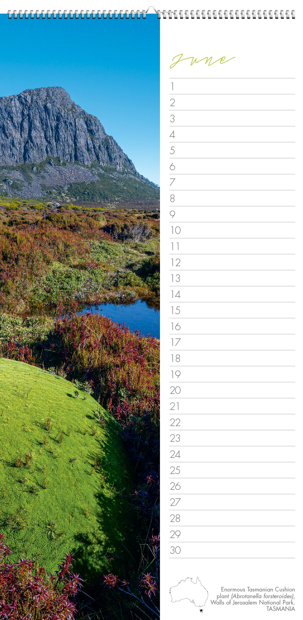 Calendar page with a scenic view of a mountain and lake, featuring the month of June.