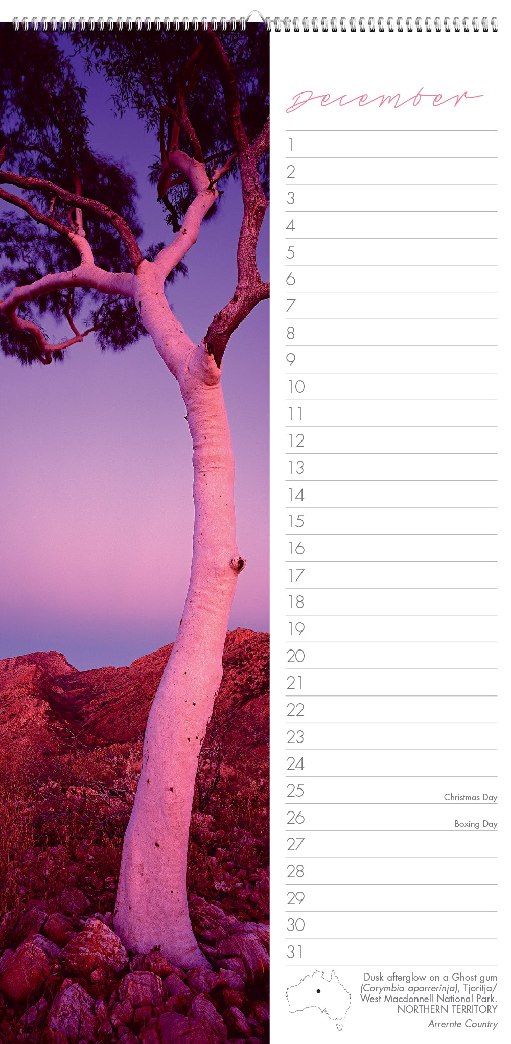 December month with photo of a tree in pinks and purples.