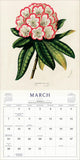 Calendar page for March with a pink and white flower illustration on a beige background