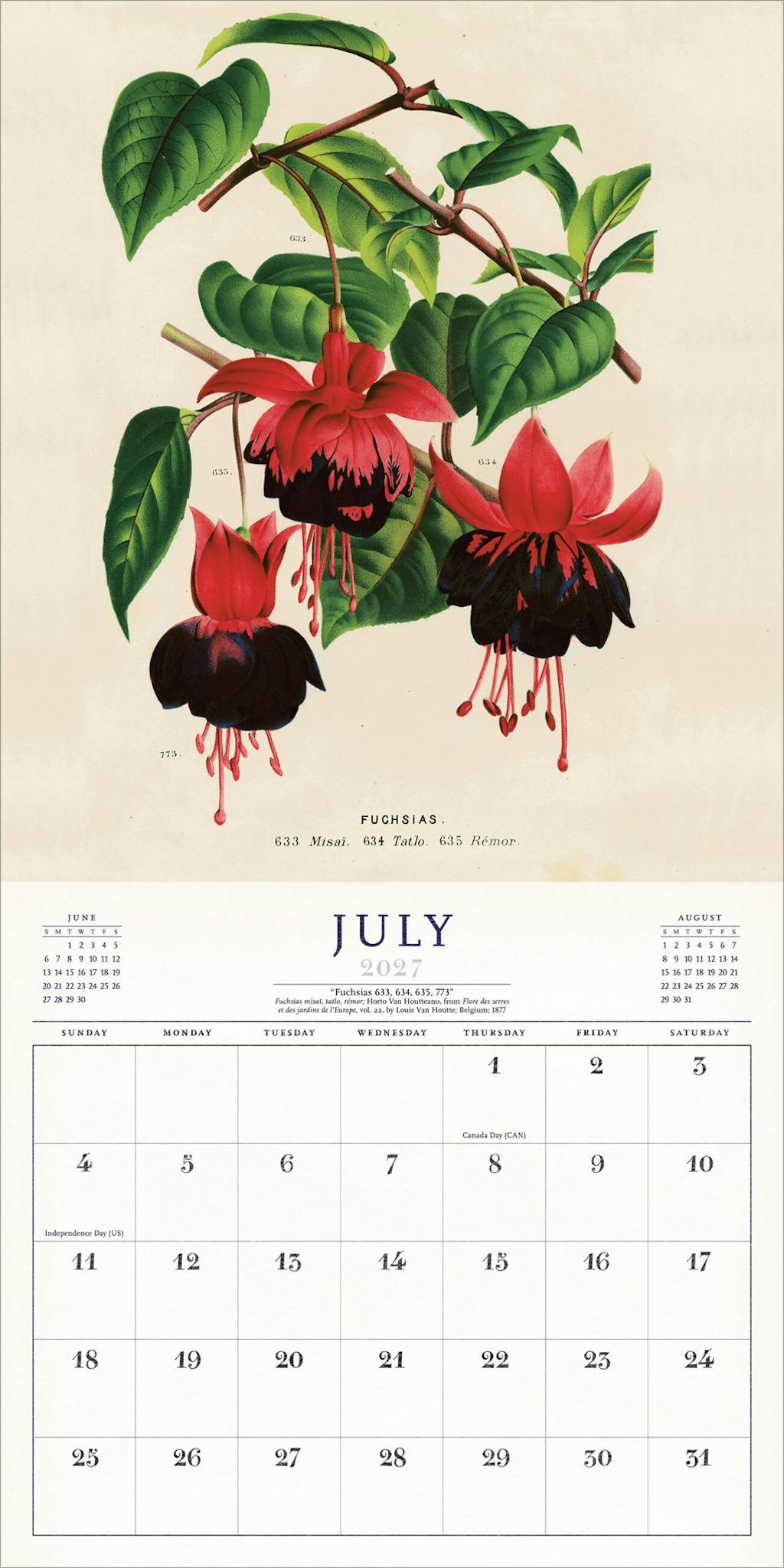 Calendar page for July with a vintage-style illustration of red flowers and green leaves on a beige background.
