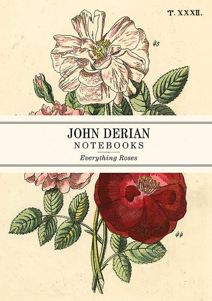 Cover of John Derian Notebooks set of 3 with roses on a cream background