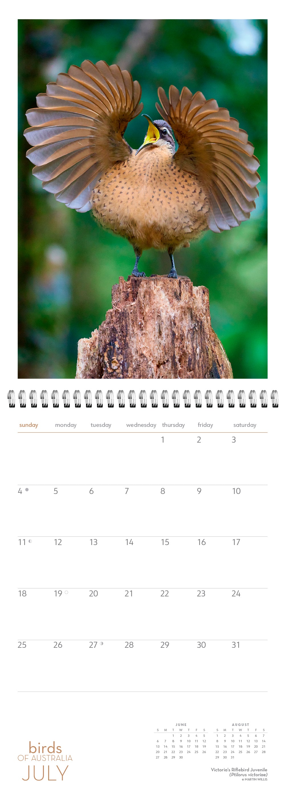 July pages of calendar with a bird with wings spread, sitting on a log.