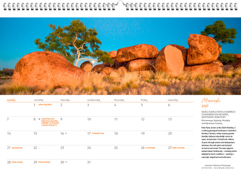 March calendar page with an image of grass, ocks and trees with a blue background.