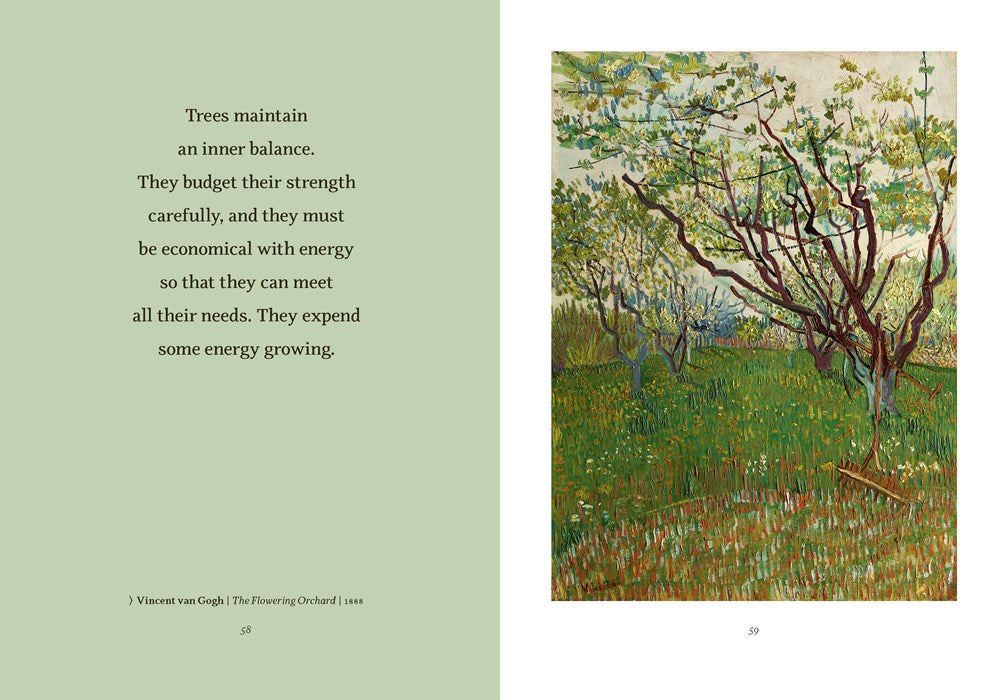 WISDOM FROM THE HIDDEN LIFE OF TRESS by Peter Wohlleben (HB)