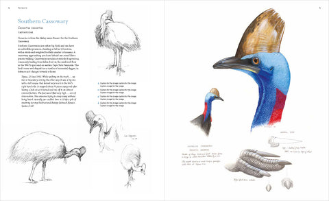 THE BIRD ART OF WILLIAM T COOPER by Wendy Cooper (HB)