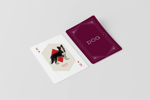 Cat & Dog Playing Cards Set