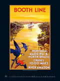 Vintage travel poster for Booth Line cruises to Portugal, Madeira, and North Brazil featuring parrots and a river scene.