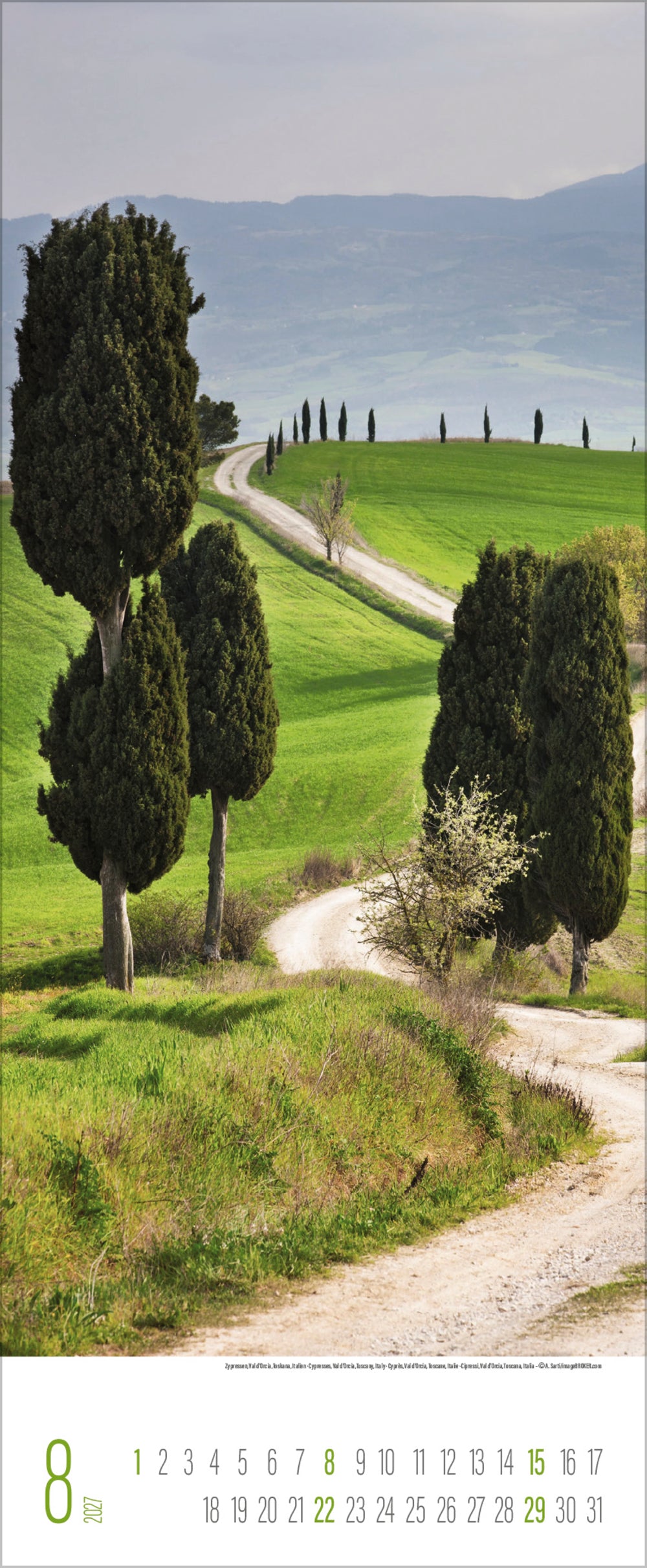 A photo of a winding path with green trees on either side and hills in the back ground