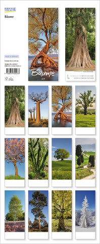 The back of the tree calendar with the photo for each month