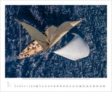 A view of a sailing boat from above on the water