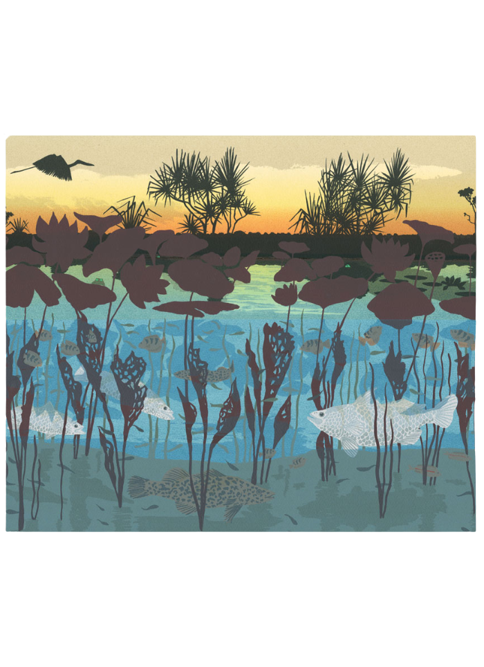 Card with wetlands at sunset with birds and fish. Angela Newberry - Sunset at Mary River.