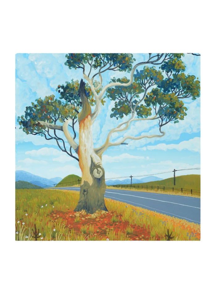 Square card with a big tree on the side of a road among grass and a fence.