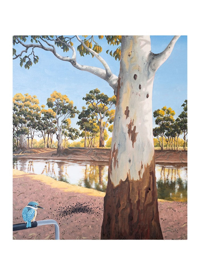 An image of a tree in the foreground with a kookaburra and a river in the background.