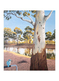 An image of a tree in the foreground with a kookaburra and a river in the background.