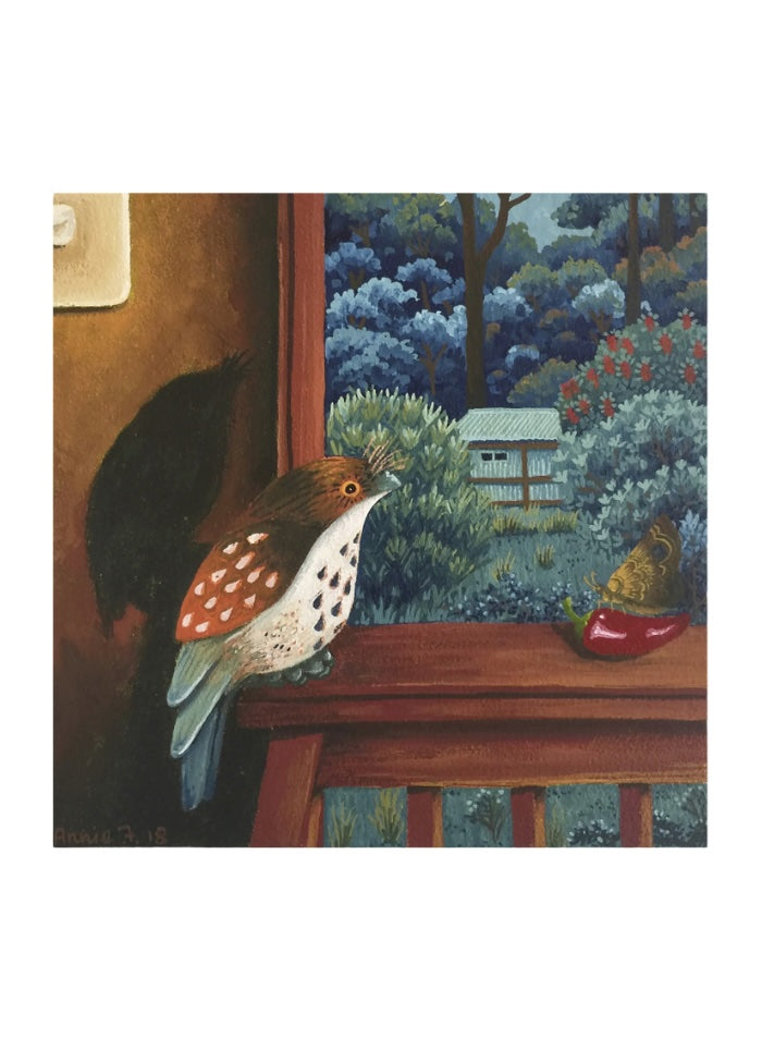 Interior with a bench near a window with a frogmouth owl on it.