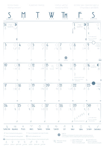 Month page Pip and Pod by Emma Miszalski 2026 Moon Wall Calendar.