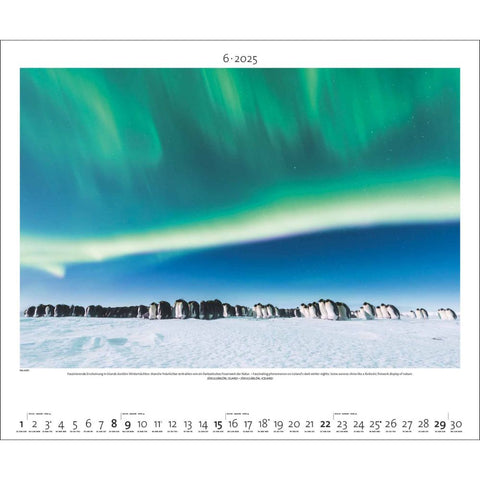 Aurora Borealis Large Wall Calendar 2025 - month