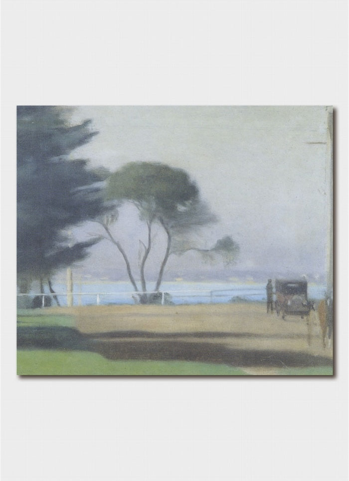 A beach scene with trees and a car