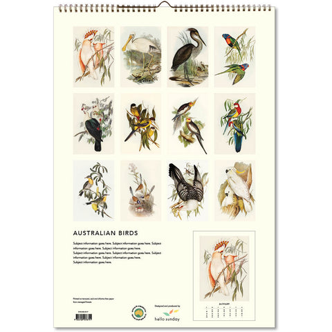 Australian Birds - John Gould Large Calendar 2025 - back