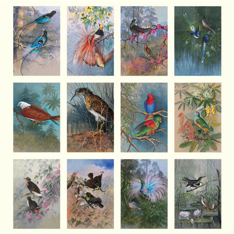 Ellis Rowan Birds Large Wall Calendar 2025 - images