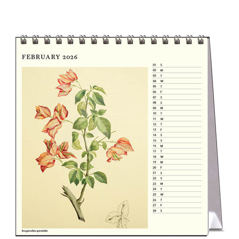 Botanicals - Joseph Banks (HMS Endeavour) Desk Calendar 2026 - month