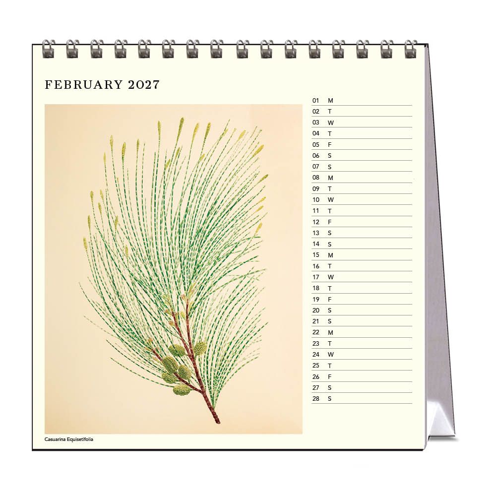 Calendar for February 2027 with a botanical illustration on a beige background