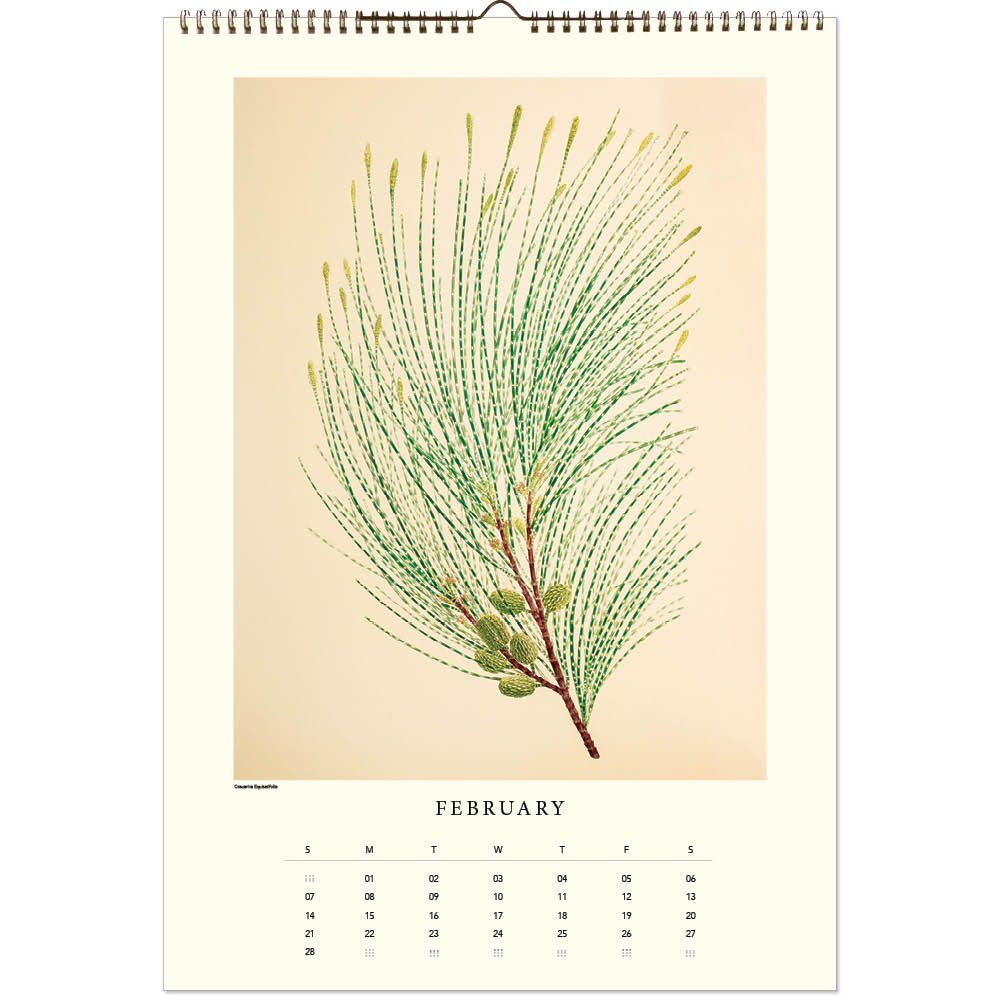 Calendar with a botanical illustration of a plant on a beige background