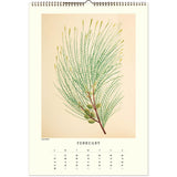 Calendar with a botanical illustration of a plant on a beige background