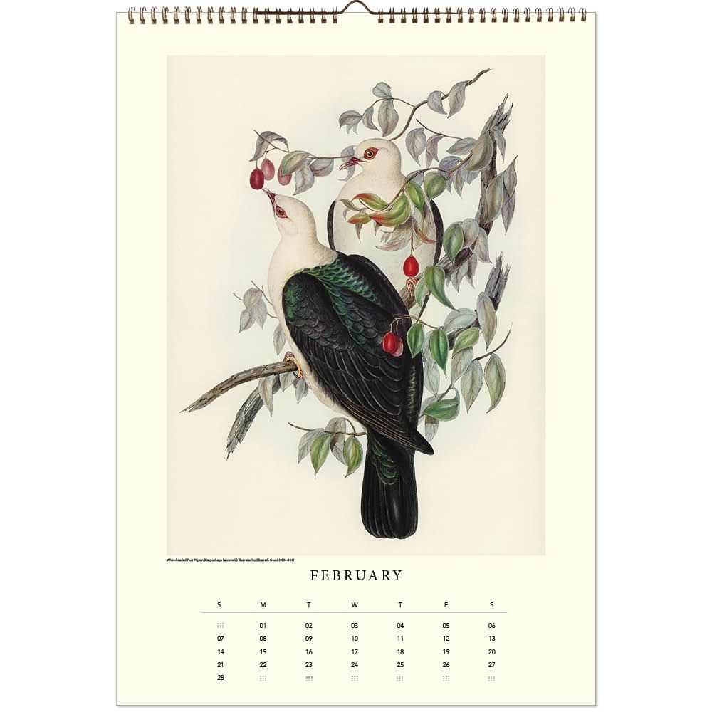 An illustration of 2 birds in a fruit tree