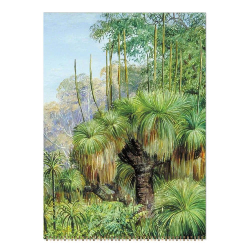 Tropical forest scene with palm trees and undergrowth on a notebook cover.