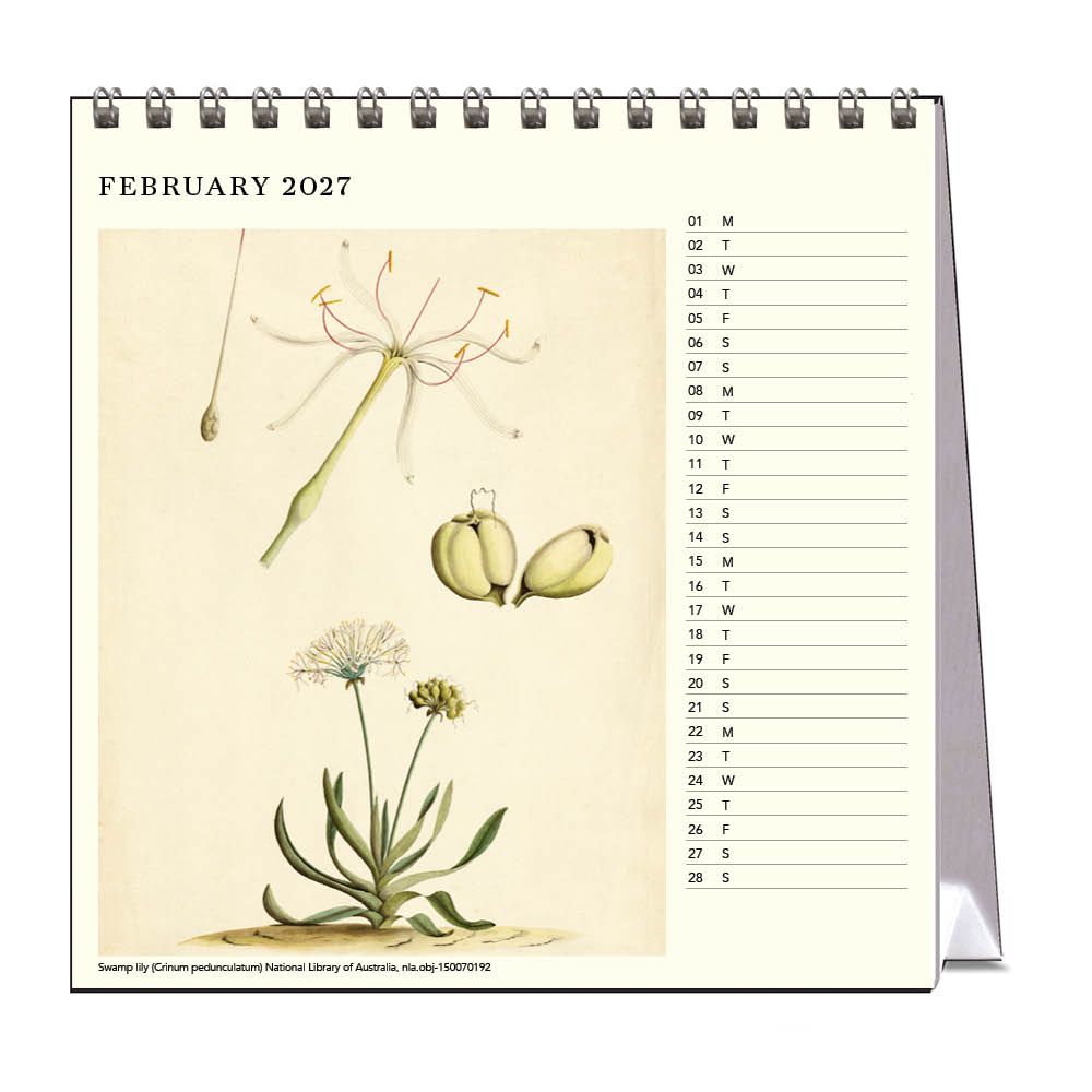 Calendar for February 2027 with botanical illustrations on a white background