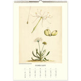 Illustration of a plant and see pods on a monthly calendar page.
