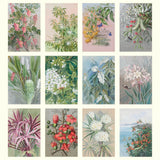 Grid of various floral illustrations on a white background