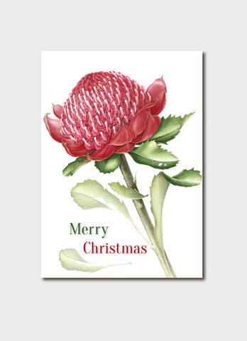 Elaine Musgrave Christmas Card - Telopea Speciosissima