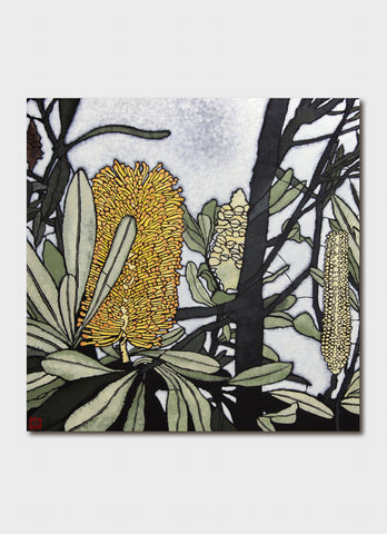 Pod & Pod - Banksia Integrifolia
