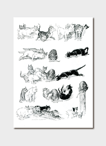 Norman Lindsay - Artful Cats Card Pack 1 - cards