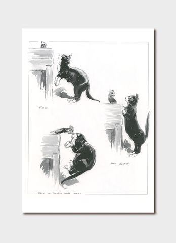 Norman Lindsay - Artful Cats Card Pack 1 - cards