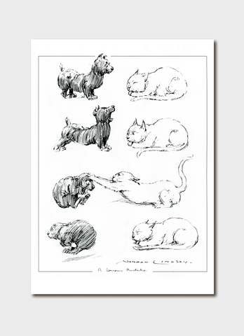 Norman Lindsay - Artful Cats Card Pack 2 - cards