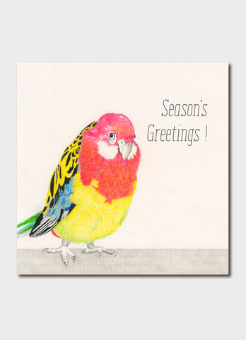 Colorful parrot illustration with 'Season's Greetings!' text on a light background