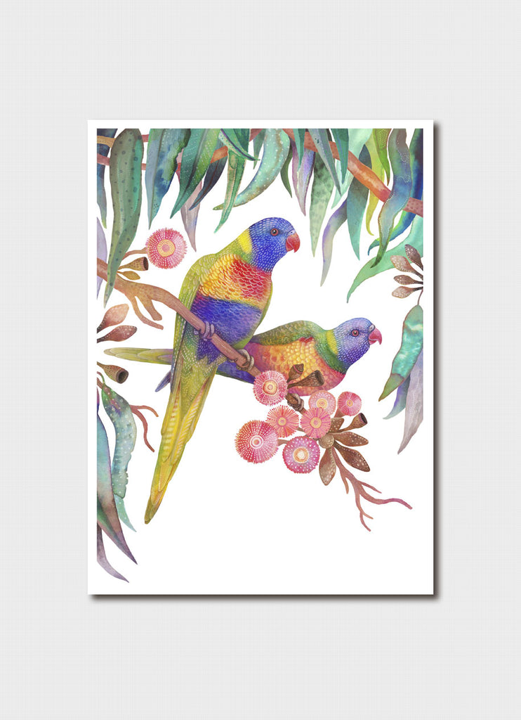 Vlad Stankovic Australian Parrots - Rainbow Lorikeet