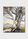 Sandi Rigby - Snow Gum