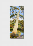 Annie Franklin Bookmark - Murrumbidgee Riverbend, Yaouk (Detail)