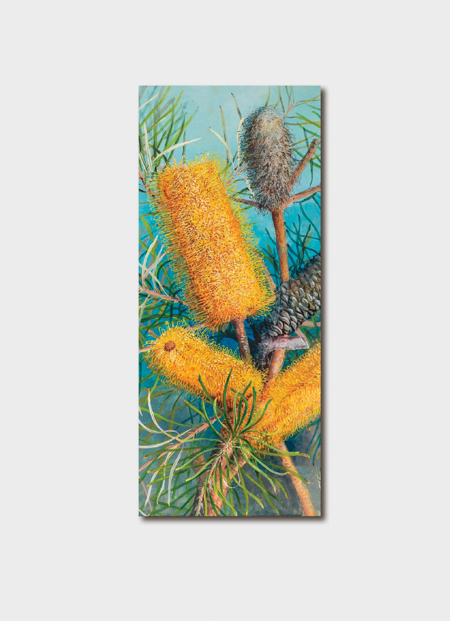 A vertical rectangular art print depicting a botanical illustration of golden yellow banksia flowers and green needle-like leaves against a light blue background, shown centered on a light gray backdrop.