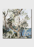 Cressida Campbell art card - Banksias, Ball's Head, Sydney